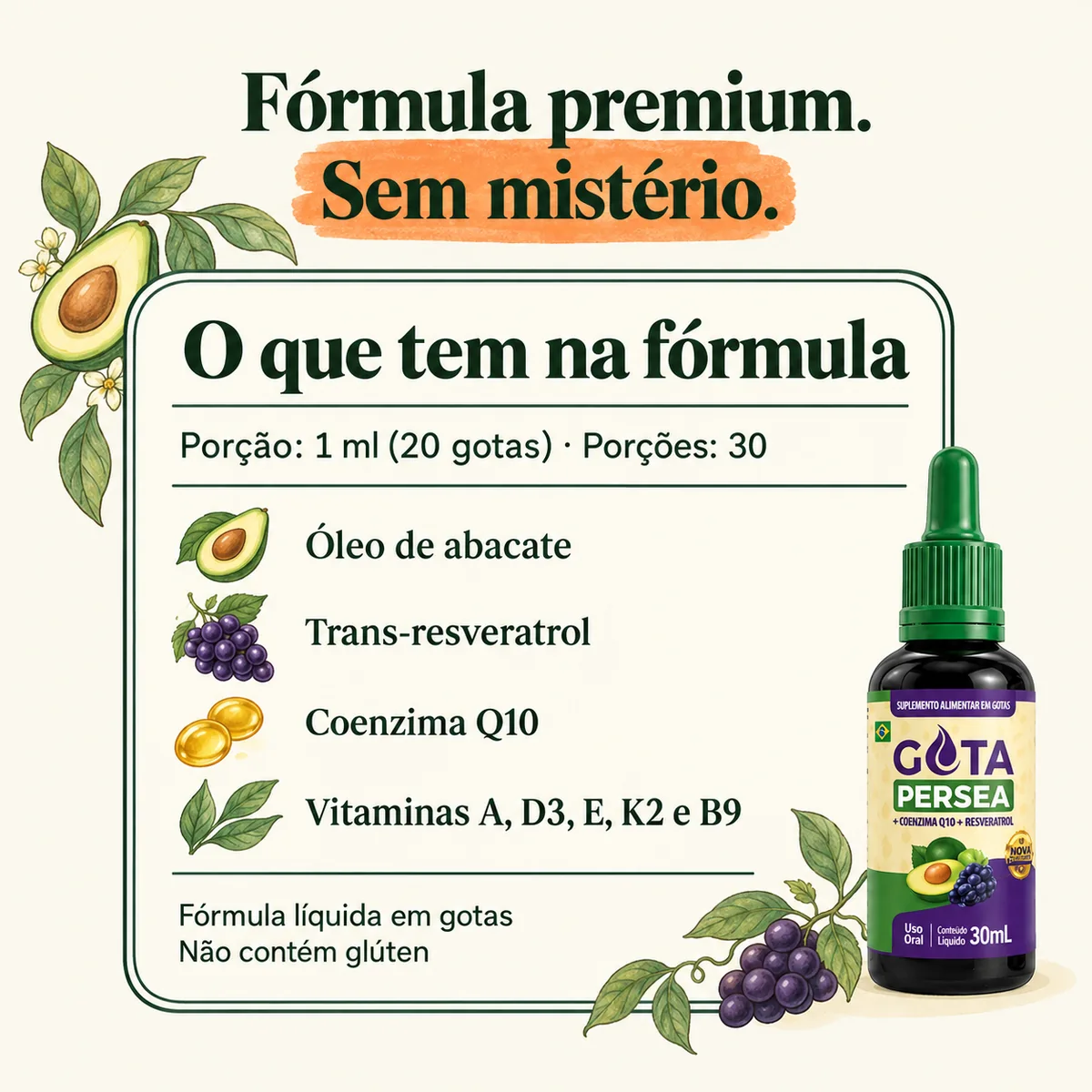 Gota Persea — Composição
